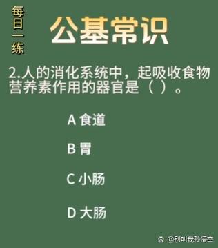 吃进去1斤食物人身吸收多少