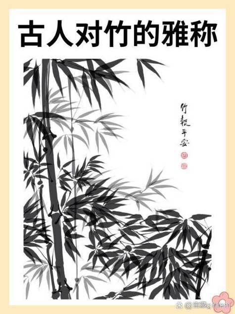 竹子的所有雅称游戏截图