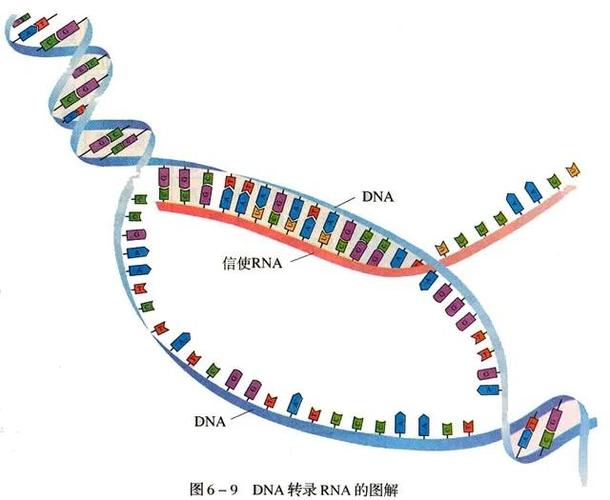 范围清除生物指令是什么