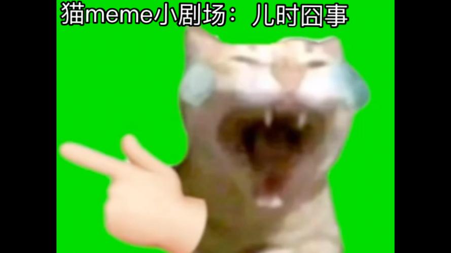 猫meme搞笑全集播放游戏截图