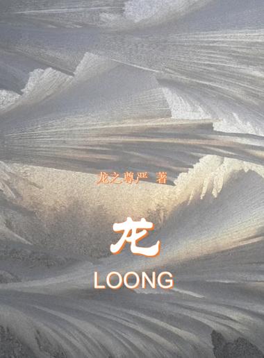 龙小说缩略图
