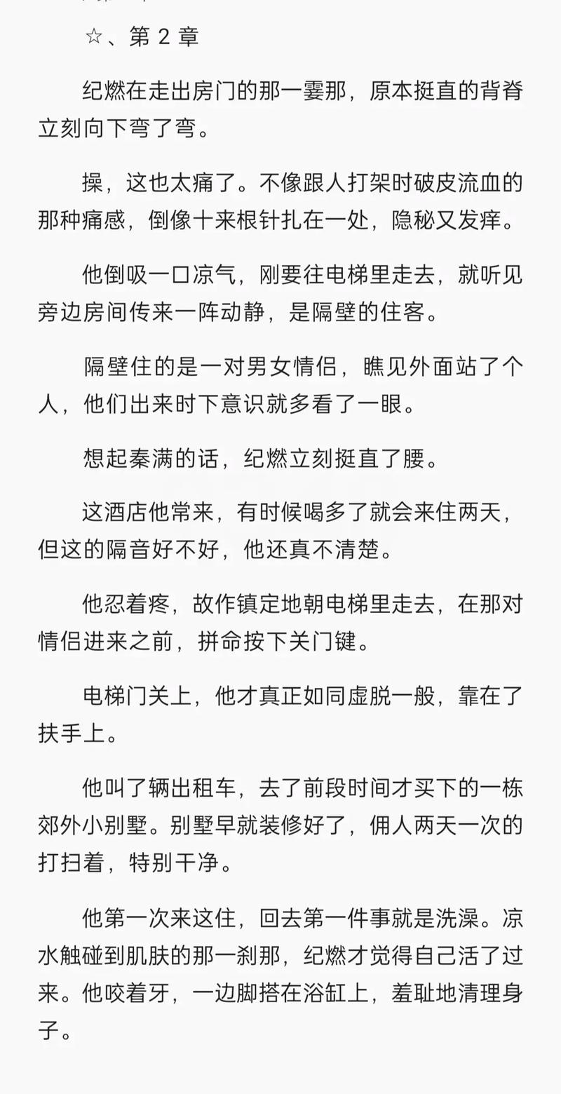 飞极速小说