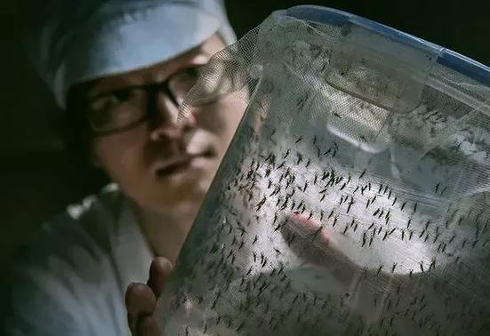 我的高德没有热力图