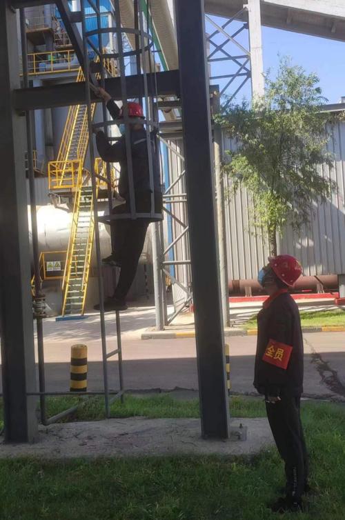 苹果录屏录完了找不到视频怎么办缩略图