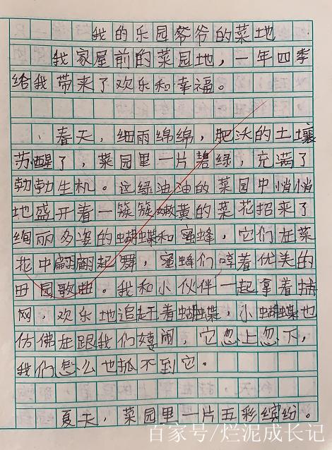 爷爷家的菜园作文900游戏截图