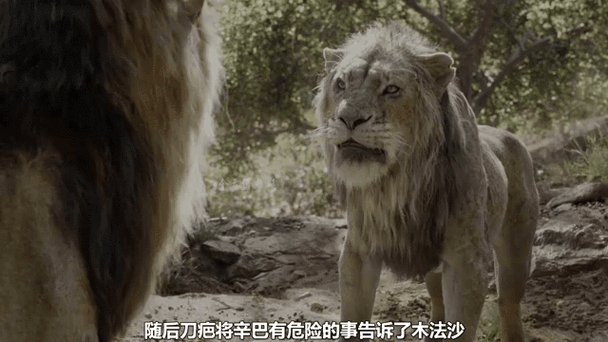 动物世界免费观看完整