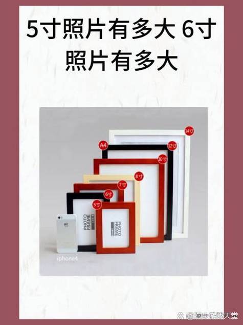 5寸照片尺寸缩略图