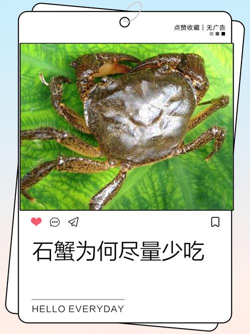 石蟹怎么养图标