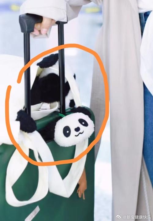 熊猫团团购缩略图