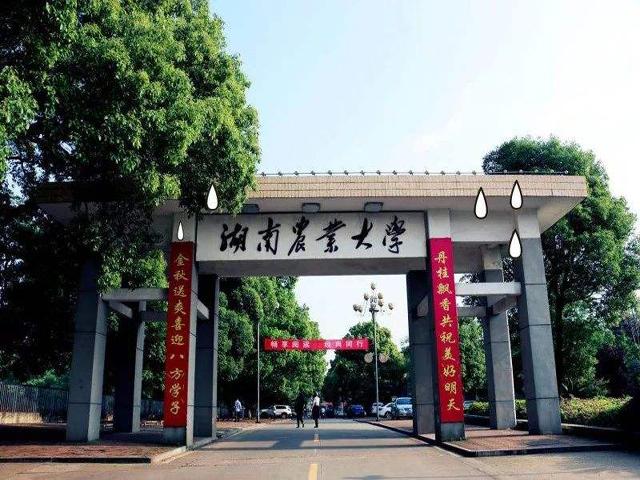 湖南农业大学研究生院游戏截图