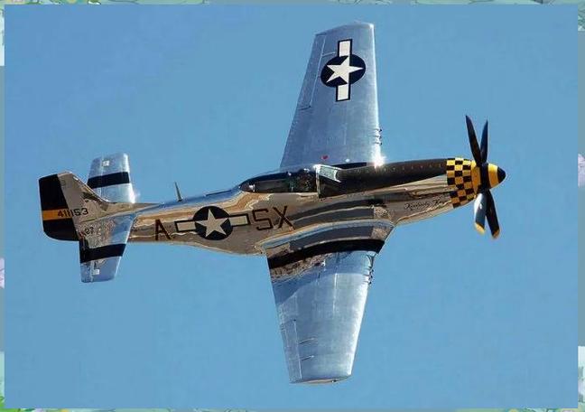 p51野马战斗机缩略图
