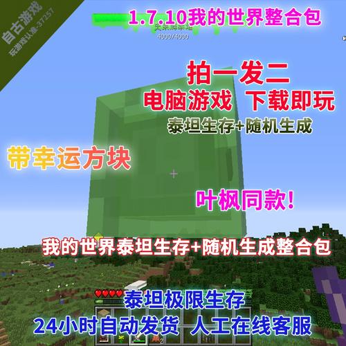 onemc叶枫整合包
