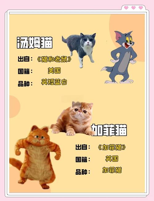 汤姆猫是中国的还是外国的
