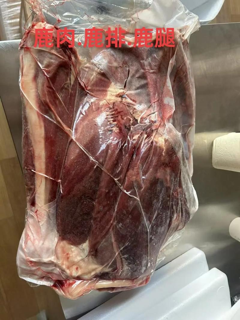 珊瑚鹿腿缩略图