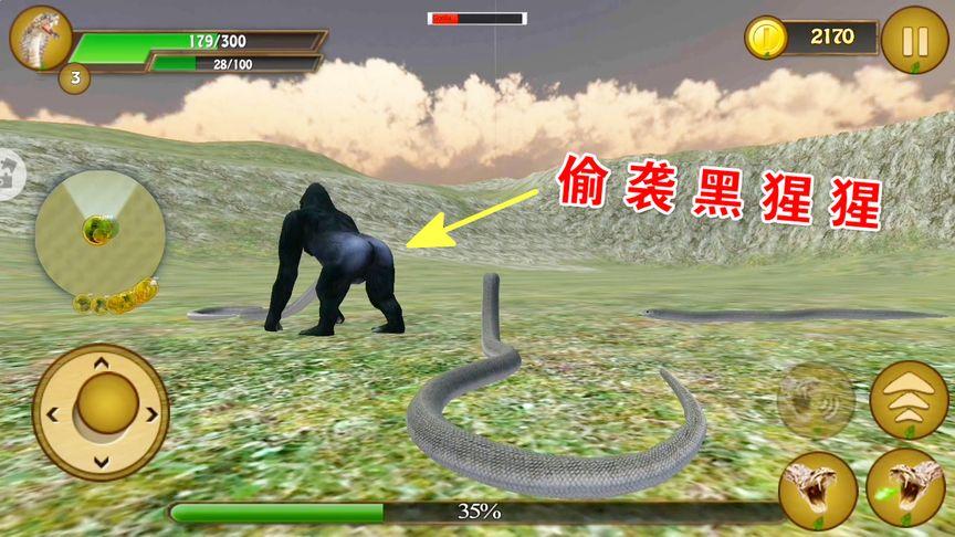 蟒蛇模拟器PolarBears缩略图