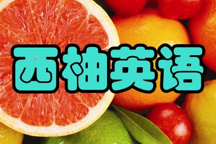 西柚英语安卓版缩略图