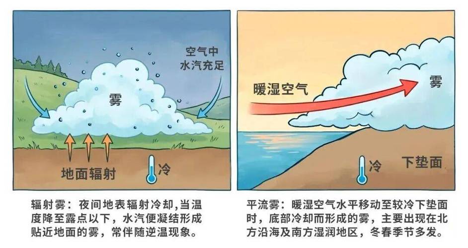 雾大什么原因引起的