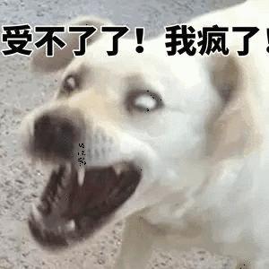 表情包生气的图片图标