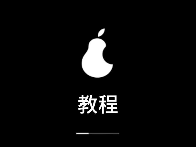 pear黑色版安装包ios缩略图