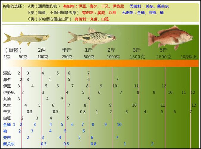 伊势尼鱼钩型号对应鱼大小