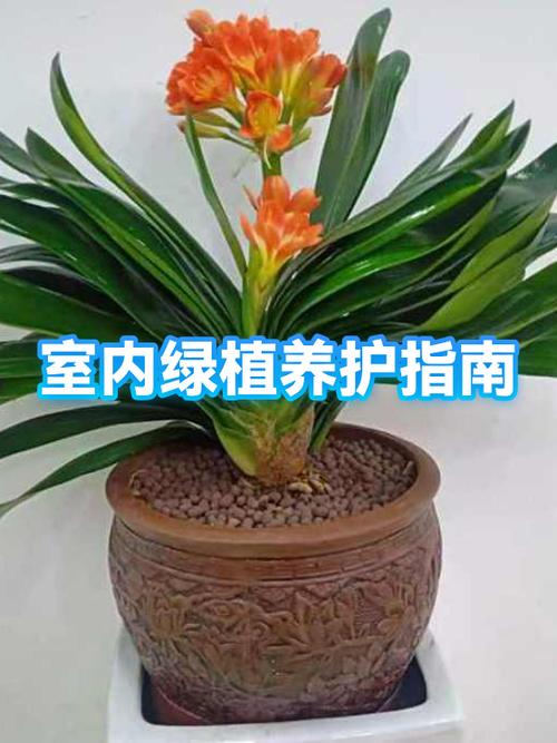 绿植的种植方法图标