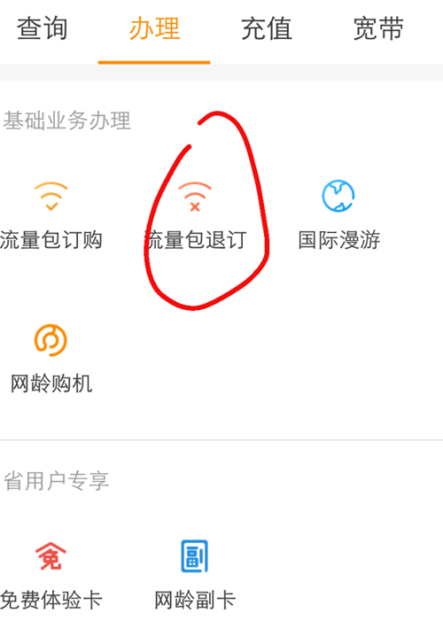 国内数据流量费怎么取消图标