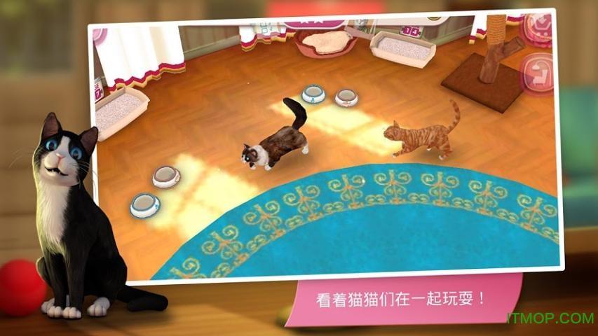 猫舍游戏无限金币版最新版图标
