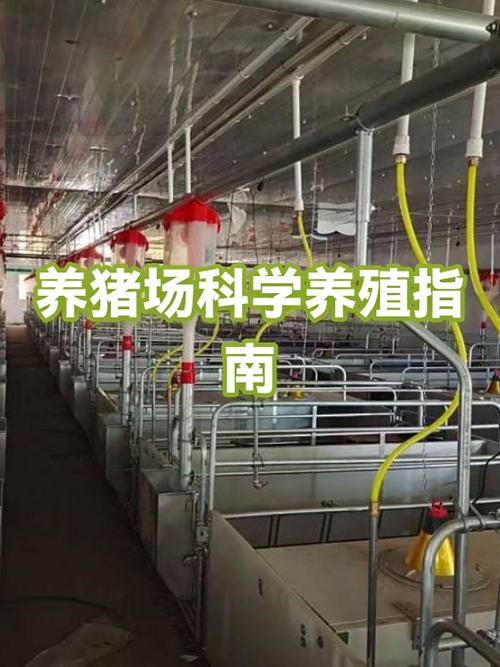 快乐养猪场怎么赚钱缩略图