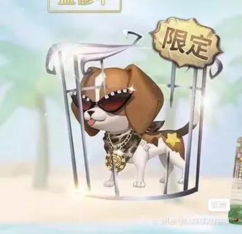 狡猾的随从