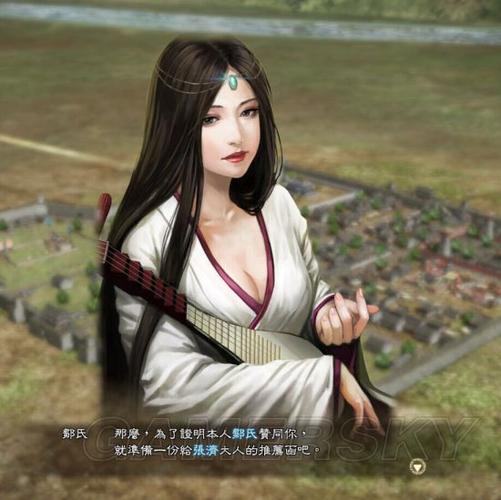 三国志13pk外交缩略图
