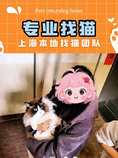 专业找猫团队怎么找的图标
