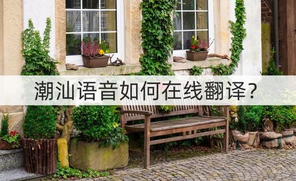 潮汕话翻译器游戏截图