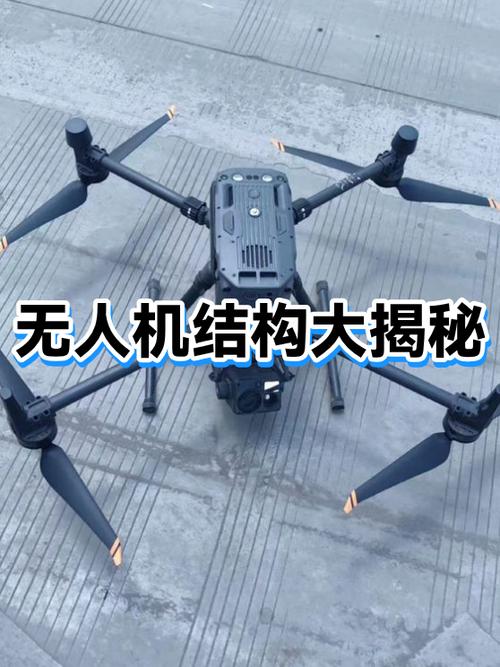 蜘蛛框架图标