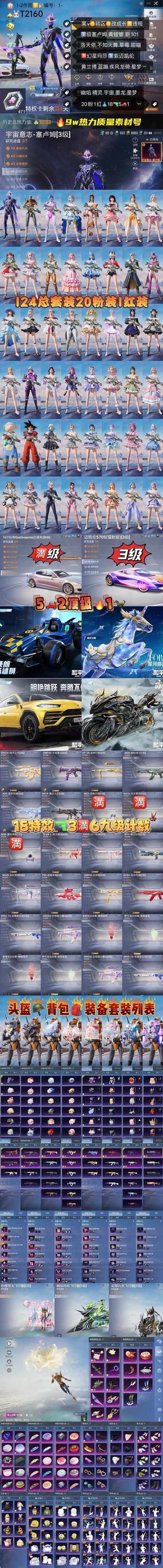 和平精英直装破解版缩略图