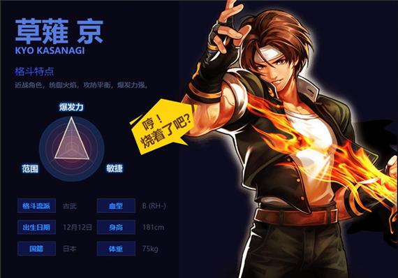 拳皇风云再起下载缩略图