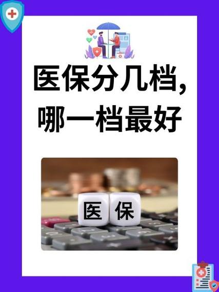 怎么看自己医保是几档图标