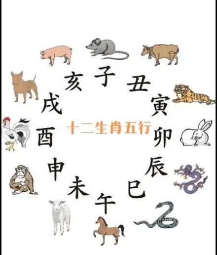 一无所有最正确的生肖