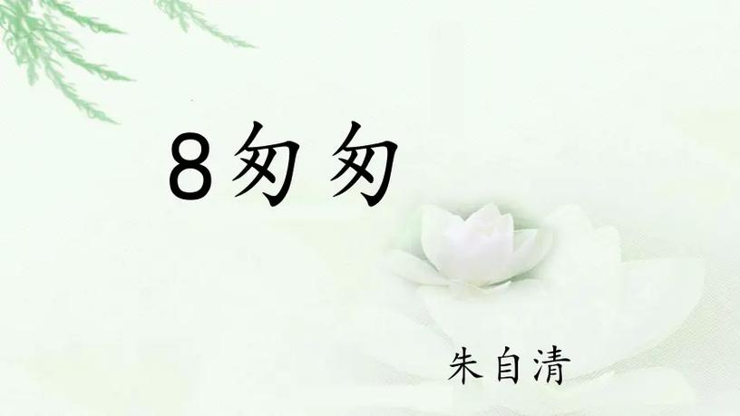 匆匆下载器