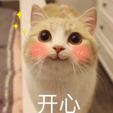 开心可爱表情包缩略图