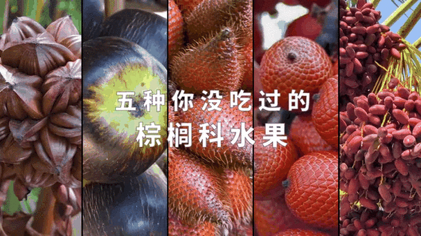 谁买水果动态表情包图片大全缩略图