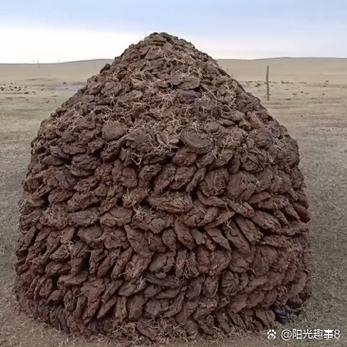 粪堆土耳其
