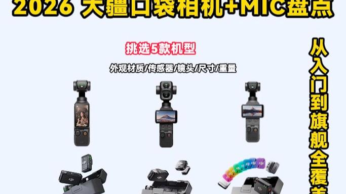 大疆麦克风配对游戏截图