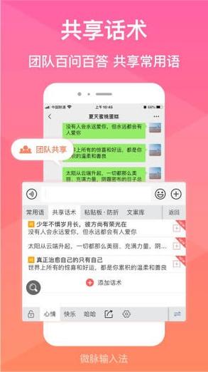 微脉输入法2.5.29缩略图
