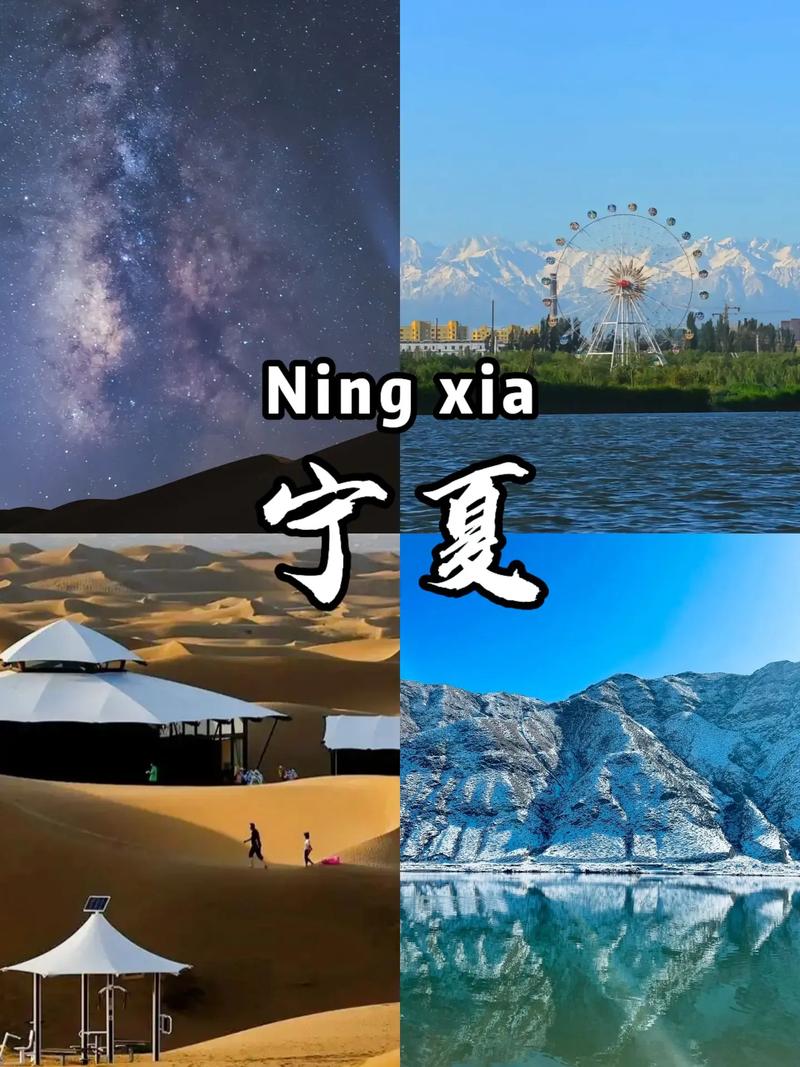 自治区我的宁夏app