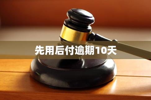 先用后付逾期多久恢复图标