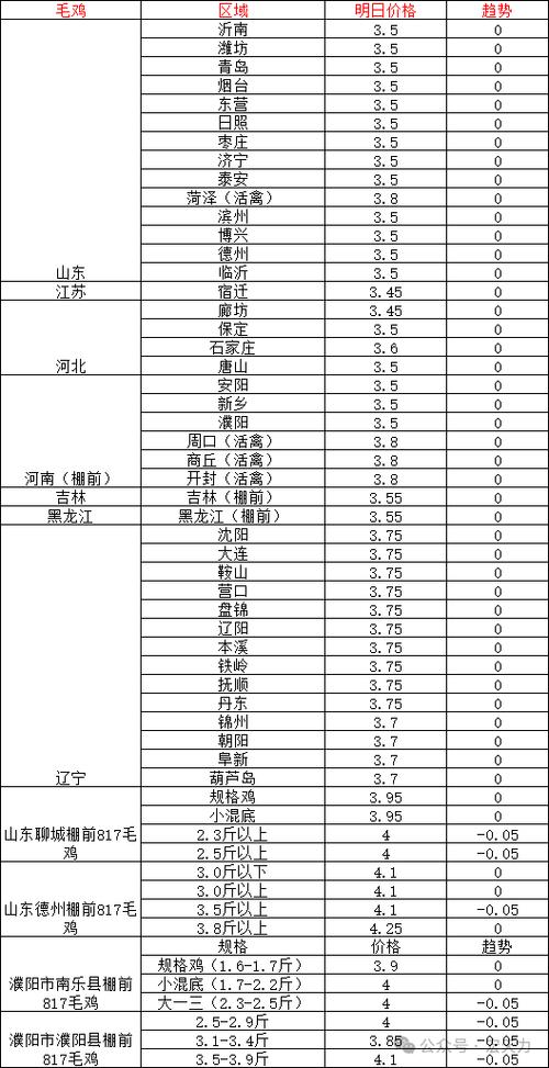 鸡价格 今日价格缩略图
