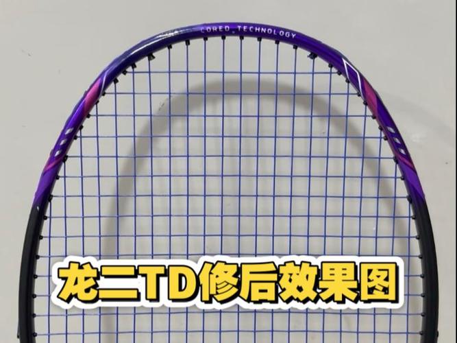 羽毛球拍框断了能修吗游戏截图