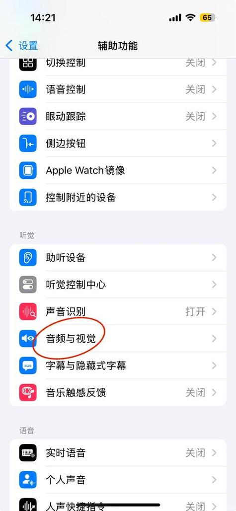 苹果手机电话降噪在哪里设置缩略图