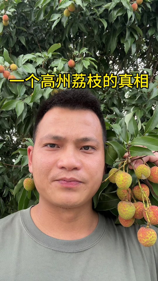 荔枝树多少年挂果缩略图