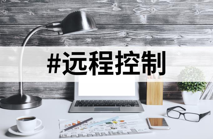 teamviewer远程控制软件